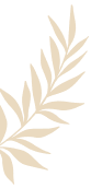 flower-bg